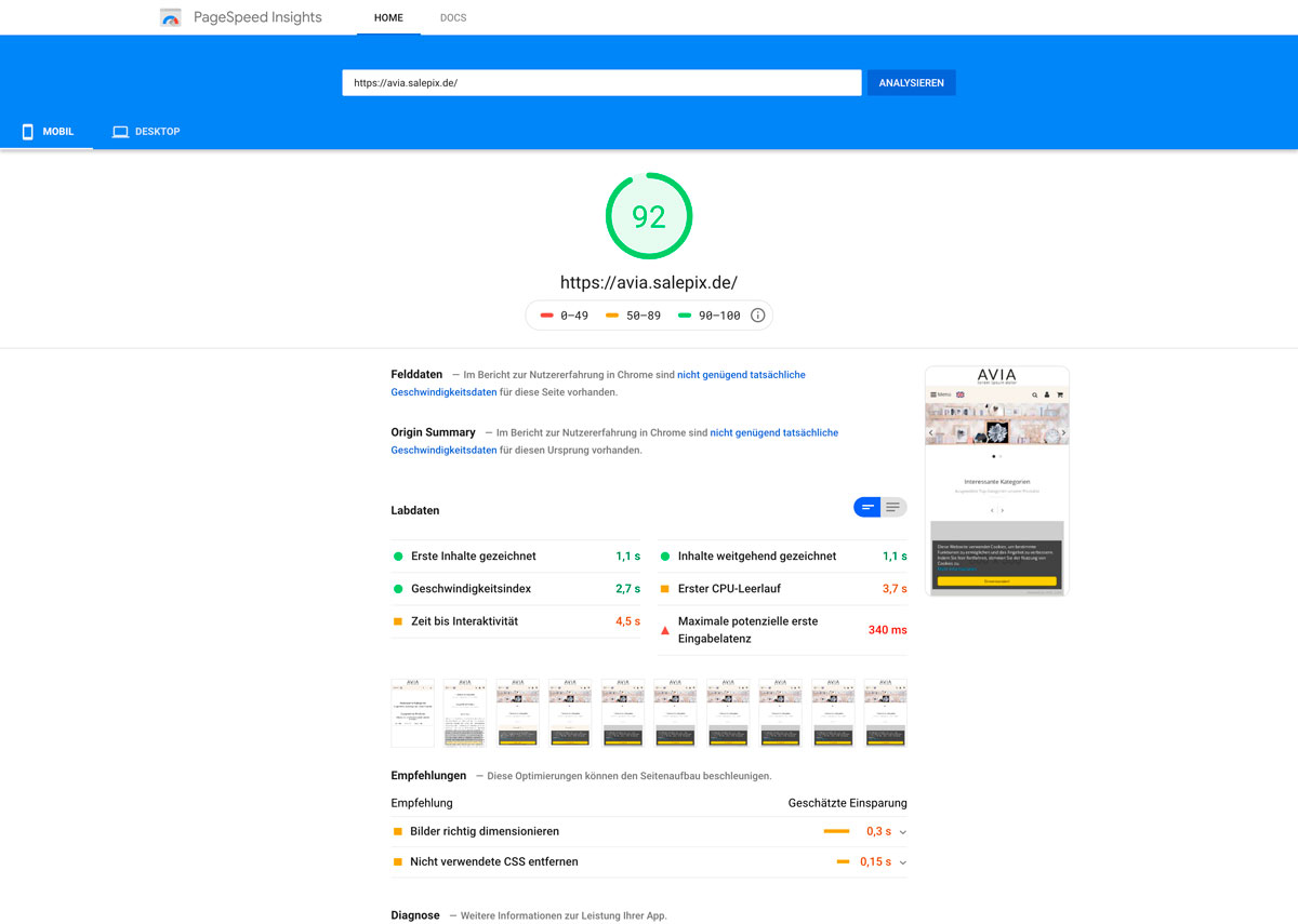 AVIA Template und Google-PageSpeed