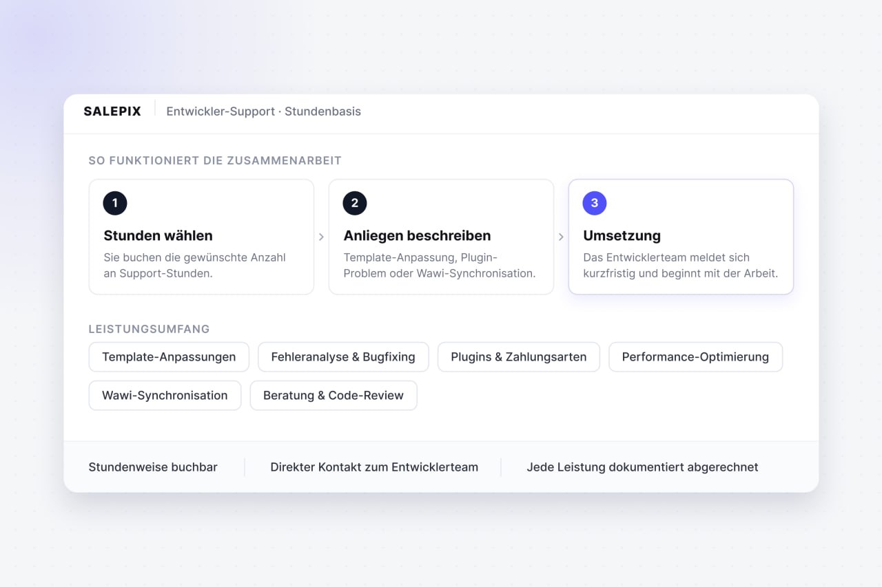 Professioneller Entwickler-Support