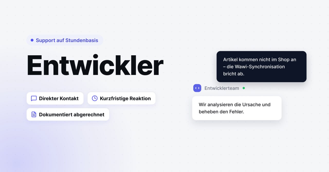 Professioneller Entwickler-Support